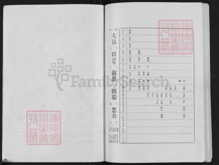 江苏省扬州市高邮市界首镇王氏槐荫堂族谱-王氏家谱.pdf电子版插图3 江苏省扬州市高邮市界首镇王氏槐荫堂族谱-王氏家谱.pdf电子版插图3