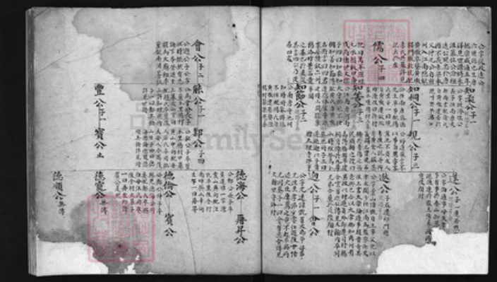 安徽省黄山市歙县许氏族谱-许氏宗谱 [残卷不分卷].pdf电子版插图3