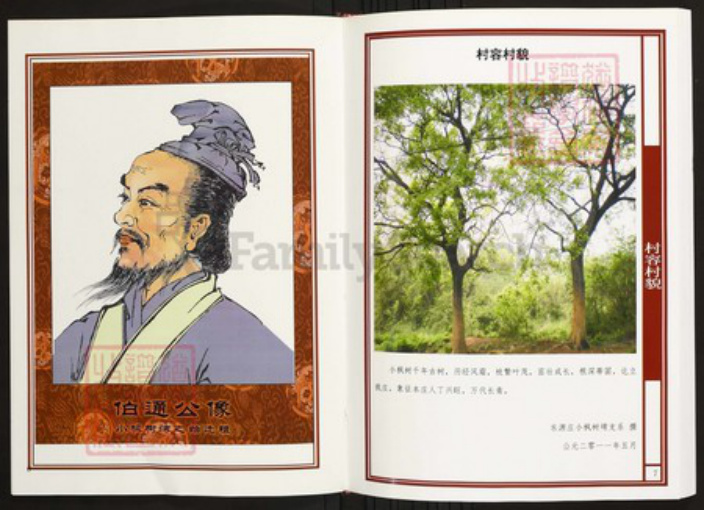 湖北省武汉市江夏区陈氏族谱-中华义门陈氏大成谱东源庄湖北江夏小枫树塆支系谱.pdf电子版插图3