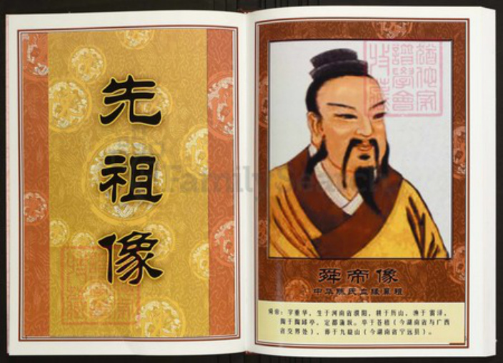 江西省宜春市陈氏族谱-中华义门陈氏大成谱江西省宜春市上杭庄族谱.pdf电子版插图3