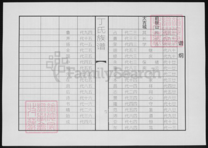 山东省聊城市东阿县山东省泰安市丁氏族谱-丁氏续修族谱.pdf电子版插图3