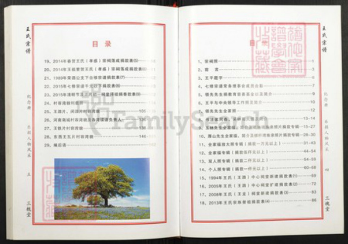 湖北省武汉市新洲区王氏族谱-王氏宗谱.pdf电子版插图3 湖北省武汉市新洲区王氏族谱-王氏宗谱.pdf电子版插图3