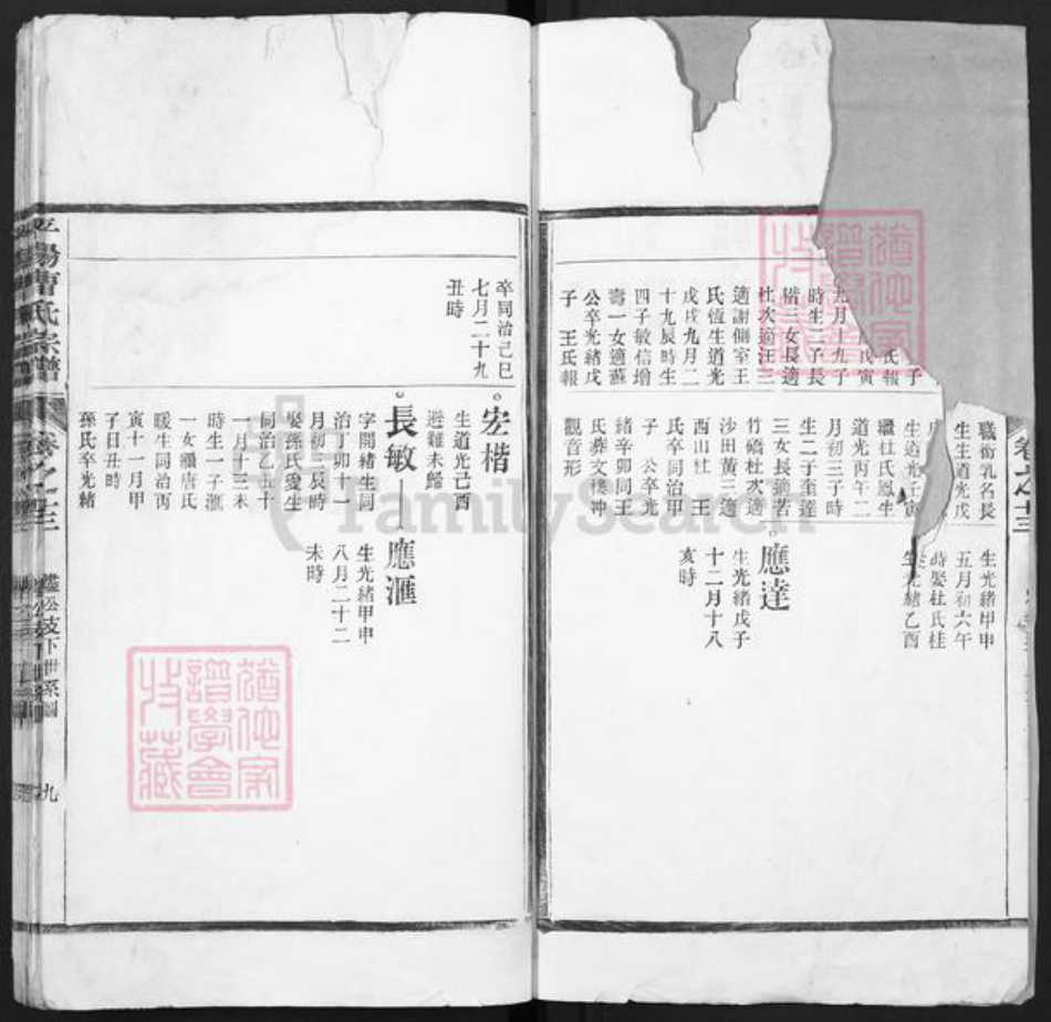 浙江省温州市曹氏族谱-平阳曹氏宗谱.pdf电子版插图3