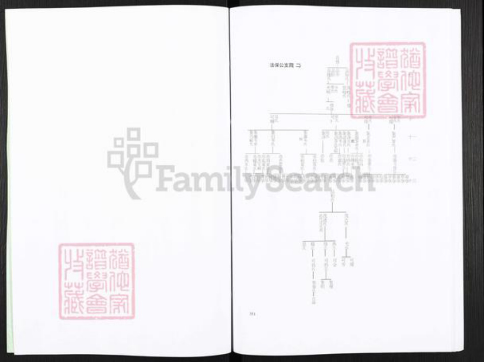 广西壮族自治区玉林平南大鹏镇岑氏族谱-岑氏族谱.pdf电子版插图3