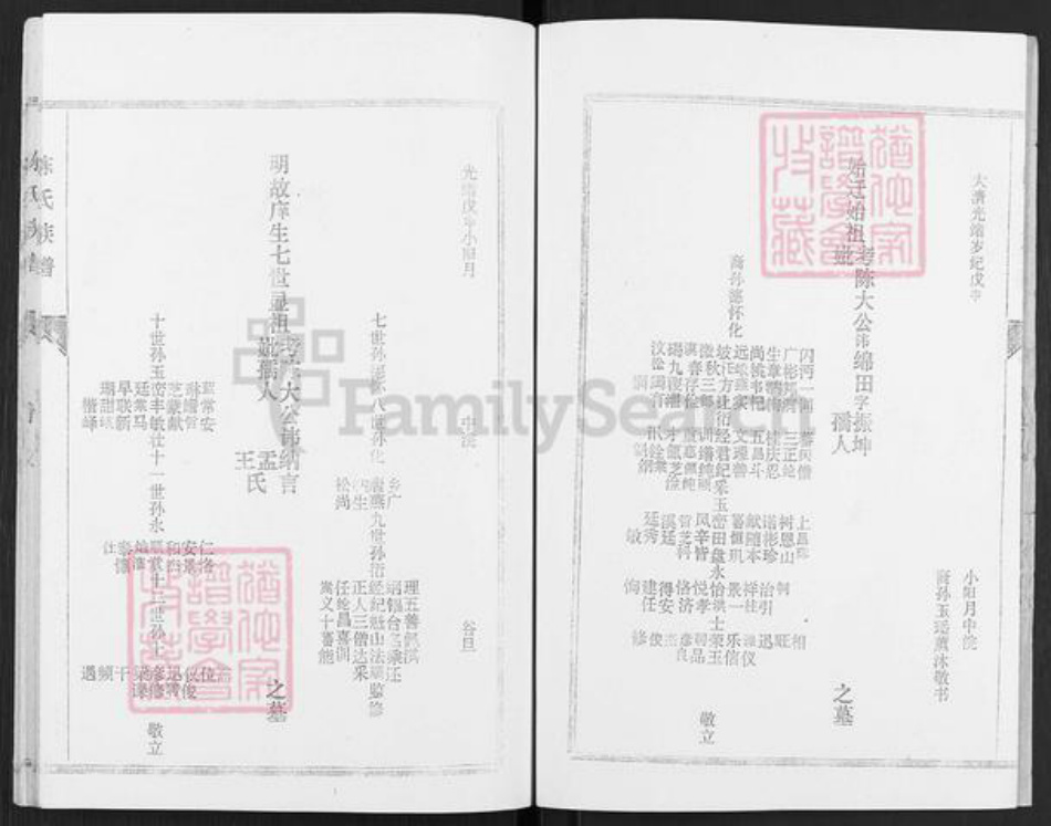 山东省济宁市微山县韩庄镇陈氏颖川堂族谱-陈氏族谱.pdf电子版插图3