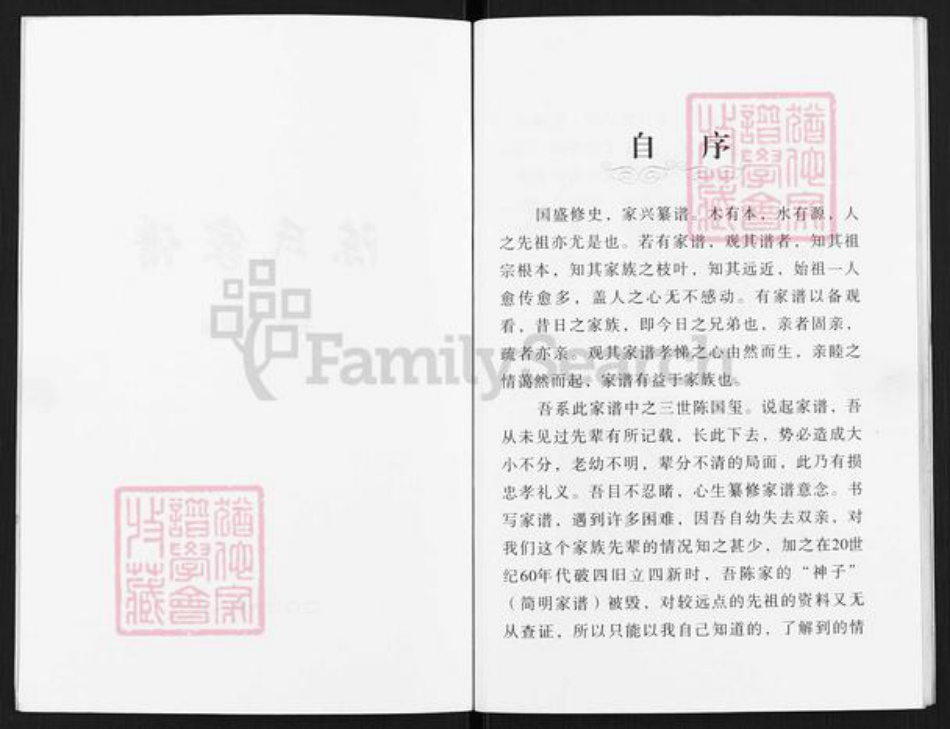 山西省临汾市汾西县永安镇陈氏族谱-陈氏家谱.pdf电子版插图3