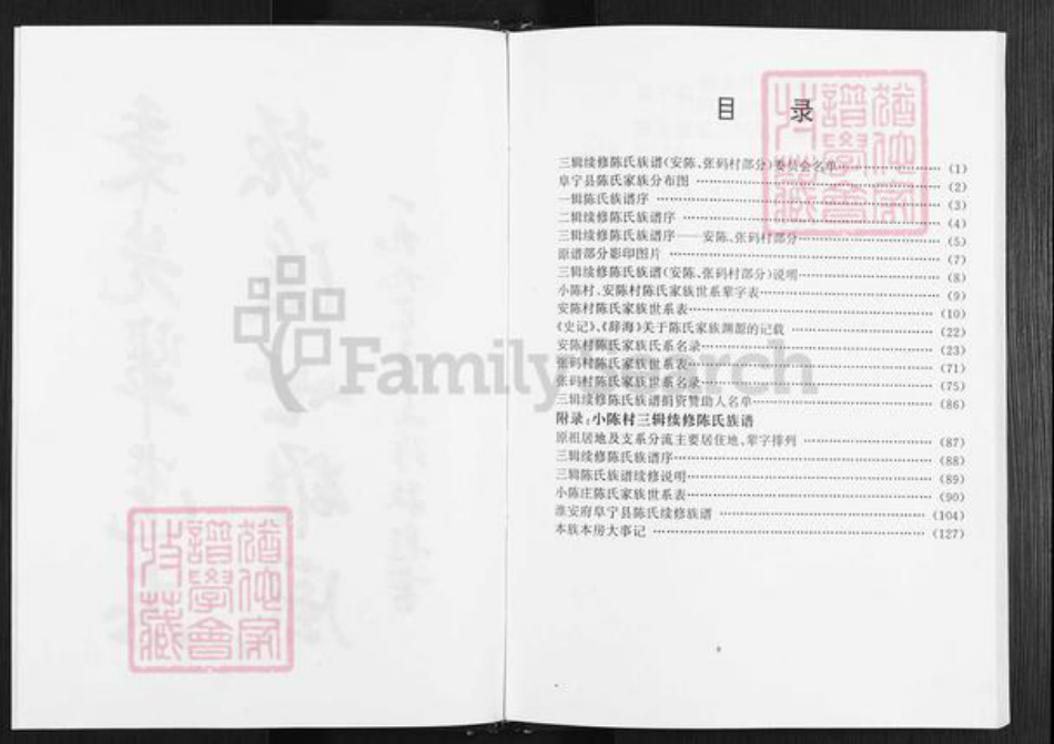 江苏省盐城市阜宁县陈集镇陈氏族谱-陈氏家谱.pdf电子版插图3