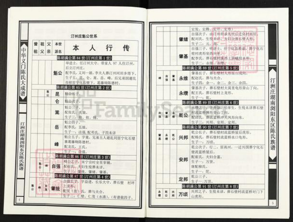 湖南省长沙市浏阳市官渡镇陈氏族谱-中华义门陈氏大成谱.汀州庄湖南浏阳东区陈氏族谱.浏东达浒里佳洞道照支系.pdf电子版插图3