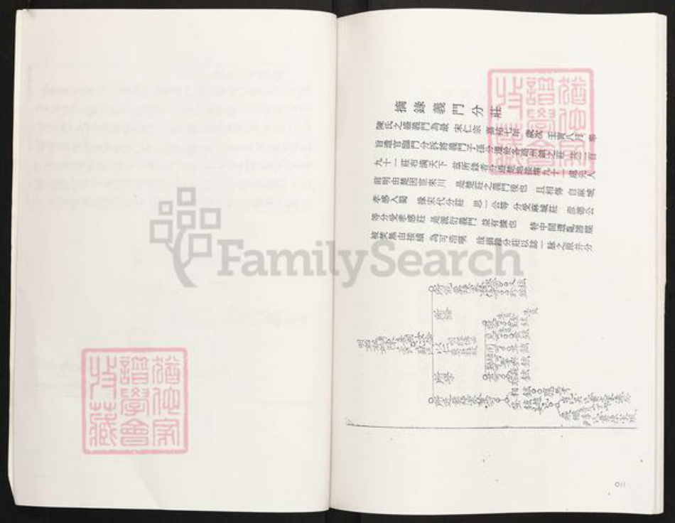 四川省眉山市眉山陈氏族谱-陈氏家谱.颍川郡江州义门陈氏四川仁寿县满井王家大湾.pdf电子版插图3