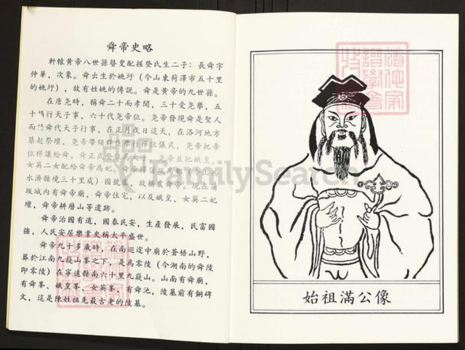 广东省河源市和平陈氏族谱-和平陈氏族谱.pdf电子版插图3