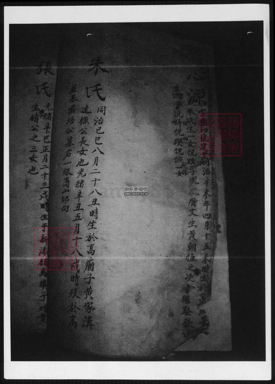 江西省陈氏族谱-南康府陈氏族谱.pdf电子版插图3