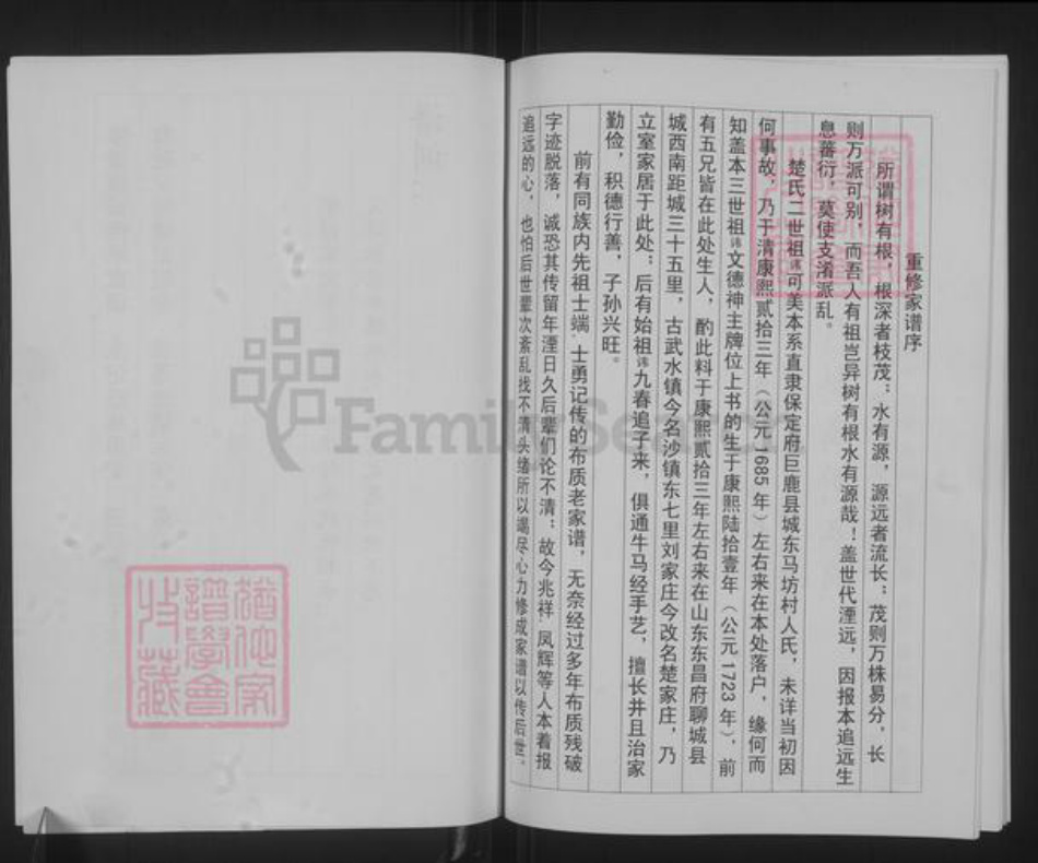 山东省聊城市聊城市沙镇镇楚氏族谱-楚氏家谱.pdf电子版插图3 山东省聊城市聊城市沙镇镇楚氏族谱-楚氏家谱.pdf电子版插图3