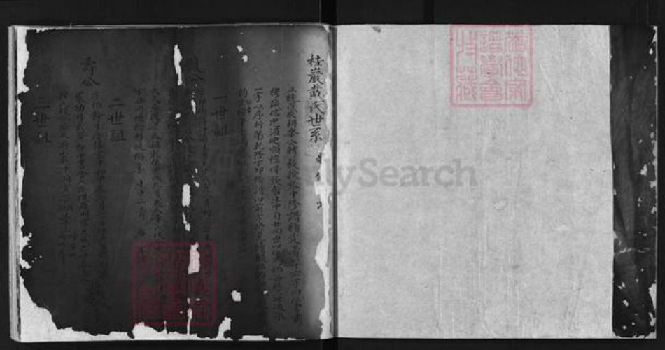 江西省上饶市戴氏族谱-桂岩戴氏世系 [不分卷].pdf电子版插图3