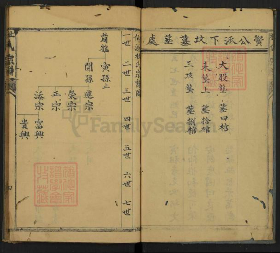 安徽省黄山市黄山区杜氏岜诚堂族谱-杜氏宗谱.pdf电子版插图3