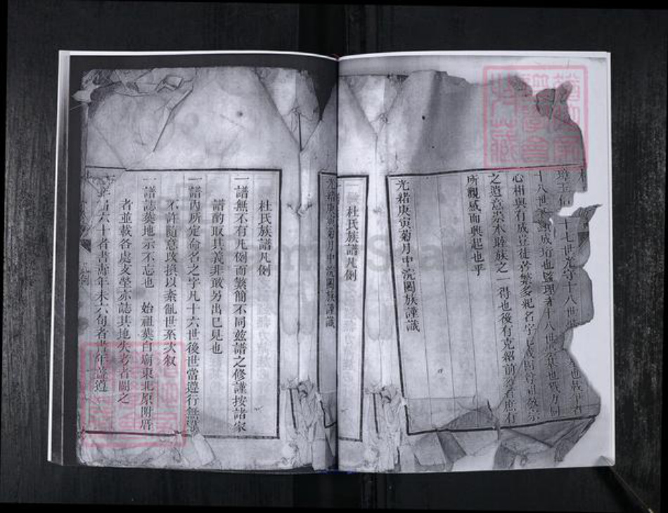 山东省青岛市崂山区杜氏族谱-会场社区杜氏族谱.pdf电子版插图3