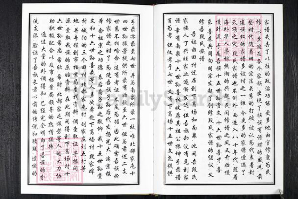 山东省青岛市段氏族谱-段氏族谱.pdf电子版插图3