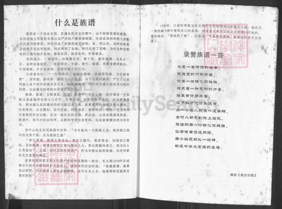 广东省江门市台山市方氏族谱-下川方氏族谱.pdf电子版插图3 广东省江门市台山市方氏族谱-下川方氏族谱.pdf电子版插图3