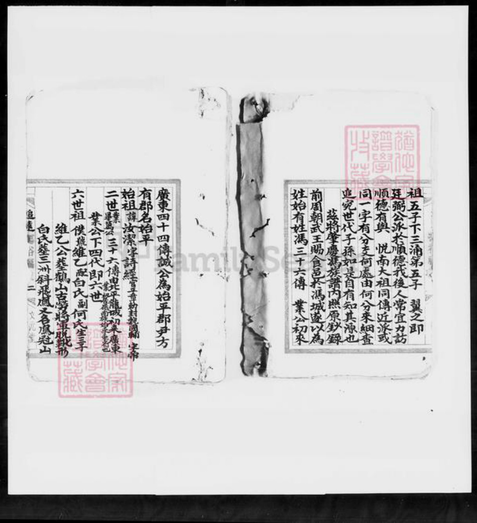 广东省佛山市顺德区冯氏文元堂族谱-冯裕福堂家谱.pdf电子版插图3