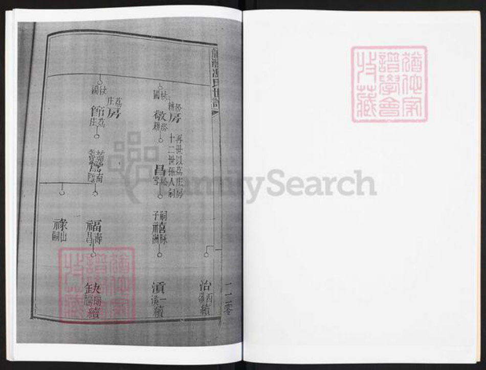 广东省云浮市罗定市龙湾镇冯氏凝福堂族谱-龙湾冯氏世谱.pdf电子版插图3