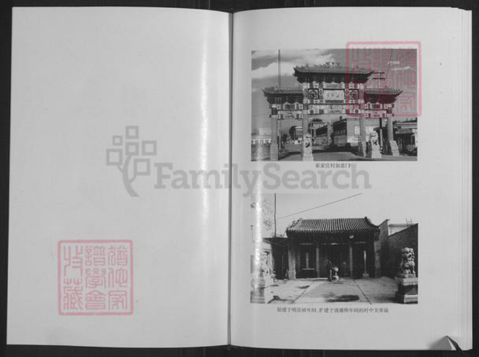 山西省忻州市定襄县神山乡高氏族谱-高氏宗谱.pdf电子版插图3