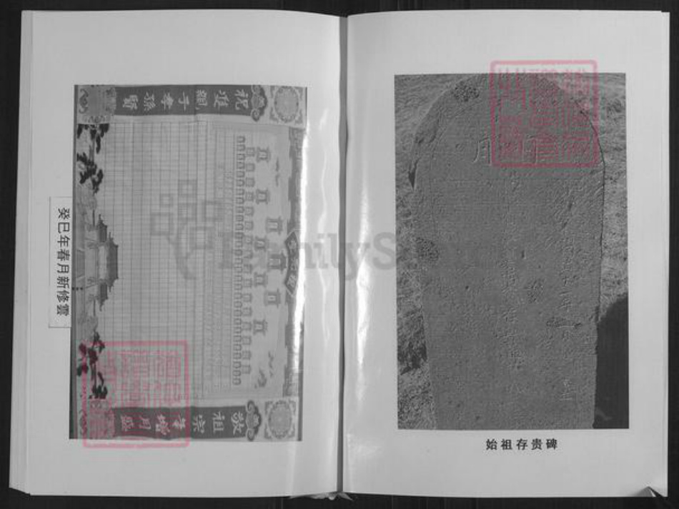 山西省忻州市繁峙县高氏族谱-高氏家谱.pdf电子版插图3