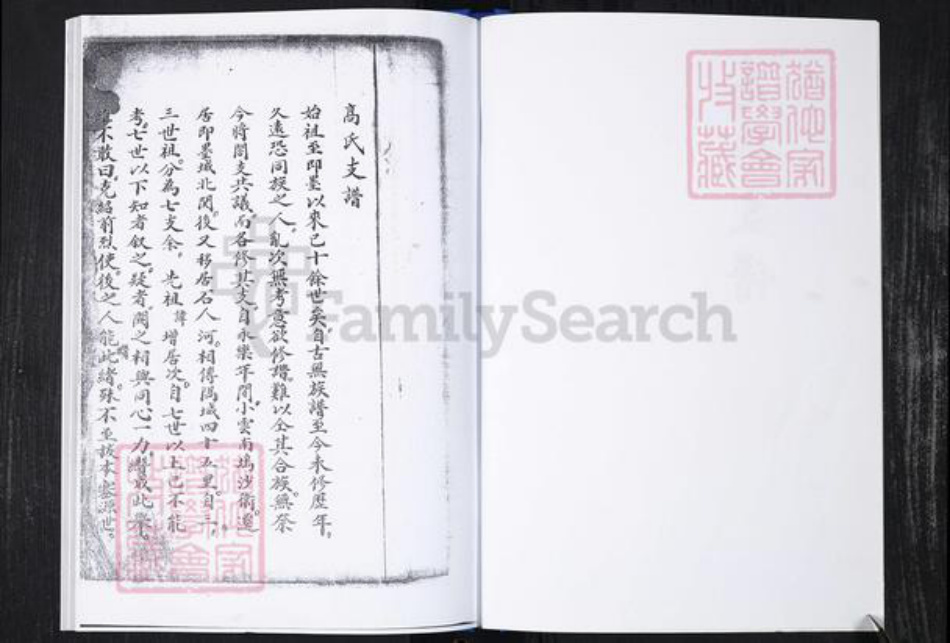 山东省青岛市崂山区高氏族谱-常家社区高氏支族谱二支(老谱).pdf电子版插图3