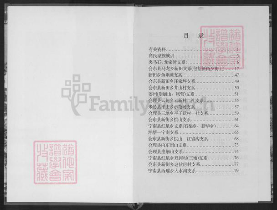 四川省凉山彜族自治州会东县堵格镇高氏族谱-夹马石高氏族谱.pdf电子版插图3