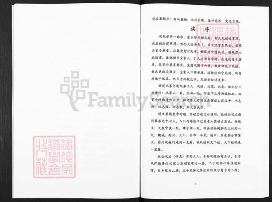 四川省绵阳市江油市大康镇巩氏族谱-巩氏族谱.pdf电子版插图3 四川省绵阳市江油市大康镇巩氏族谱-巩氏族谱.pdf电子版插图3