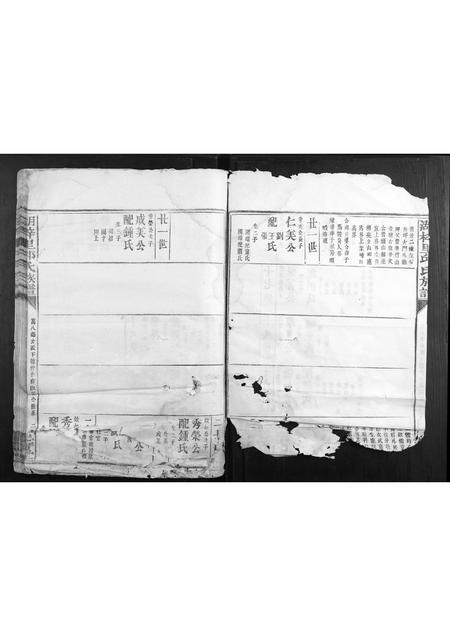 福建邱氏族谱-湖梓里邱氏族谱.pdf电子版插图3