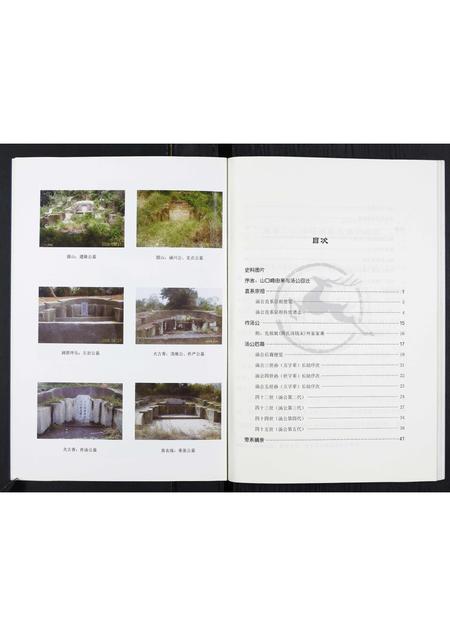 福建汤氏族谱-汤氏家谱.pdf电子版插图3