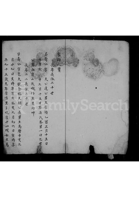 福建唐氏族谱-温泉唐氏族谱.pdf电子版插图3