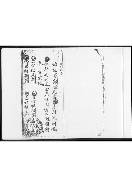 福建王氏族谱-南安象运黄田二房二以顺派王氏族谱.pdf电子版插图3 福建王氏族谱-南安象运黄田二房二以顺派王氏族谱.pdf电子版插图3