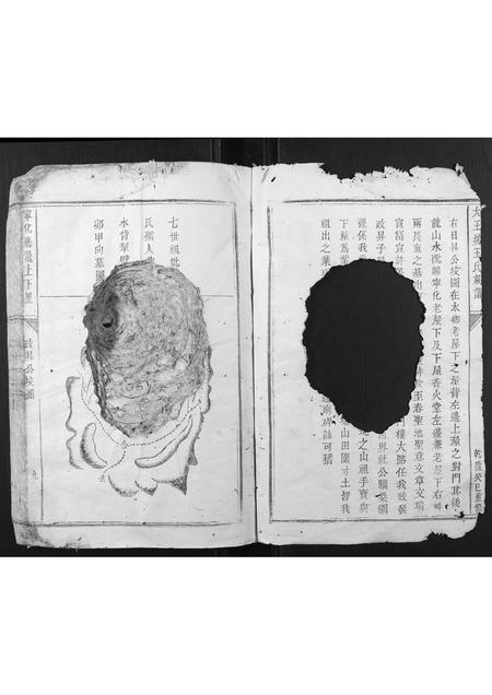 福建王氏族谱-大王坊王氏族谱.pdf电子版插图3 福建王氏族谱-大王坊王氏族谱.pdf电子版插图3