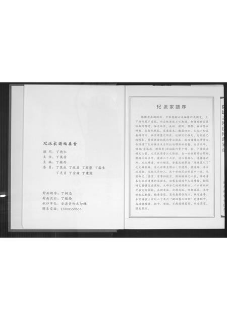 福建丁氏族谱-[丁氏](王己)派家谱.pdf电子版插图3