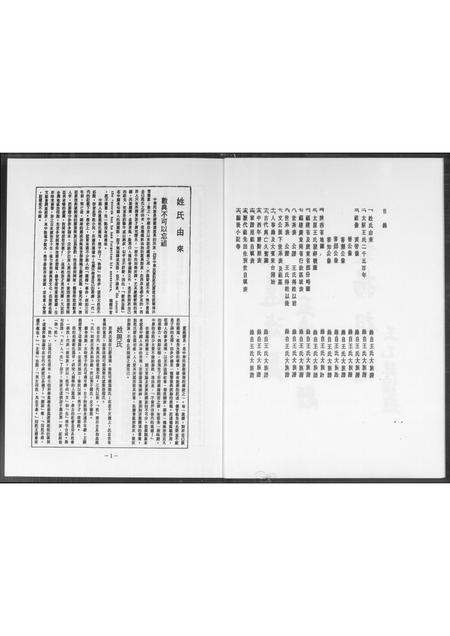 福建王氏族谱-王文公家谱.pdf电子版插图3