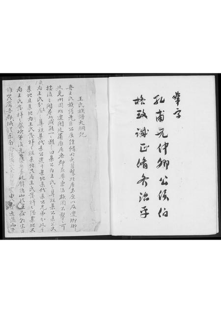 福建王氏族谱-[王氏]沙堤族谱.林柄村朝峯公派下.pdf电子版插图3