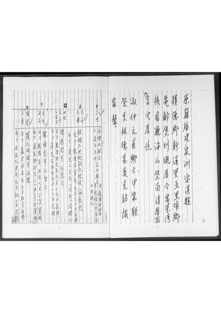 福建王氏族谱-[王氏]福禄寿.pdf电子版插图3