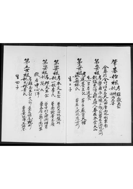 福建王氏族谱-王氏家谱.pdf电子版插图3