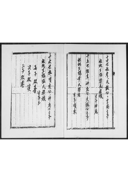 福建王氏族谱-王氏家谱.pdf电子版插图3