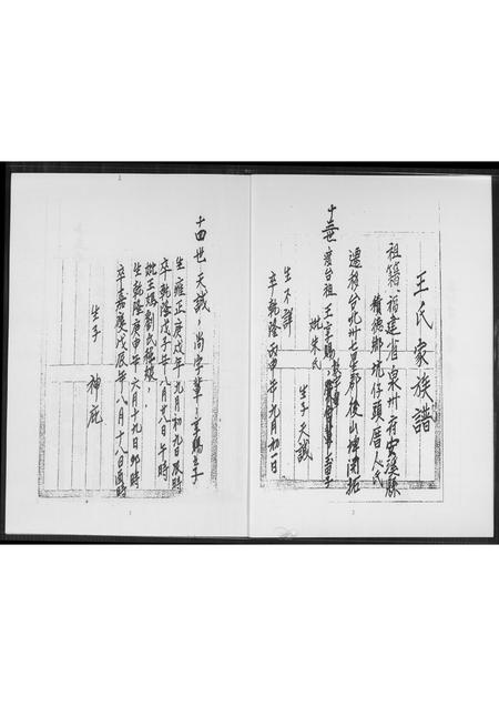 福建王氏族谱-王氏家谱.安溪派.pdf电子版插图3