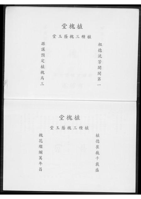 福建王氏族谱-王氏族谱.pdf电子版插图3