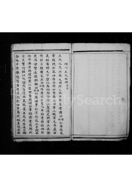 福建王氏族谱-[王氏族谱].pdf电子版插图3