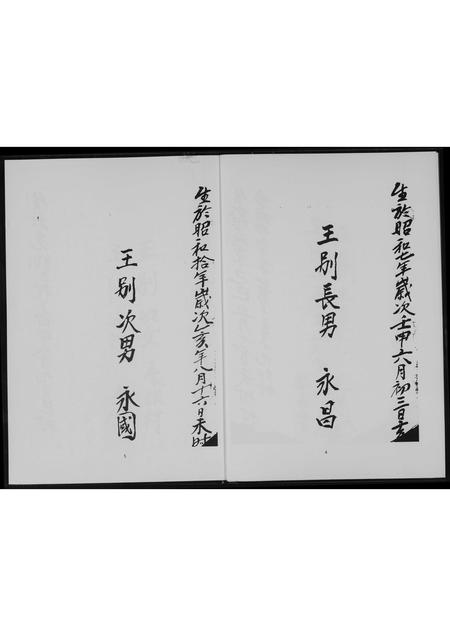 福建王氏族谱-王赞六房家谱.pdf电子版插图4