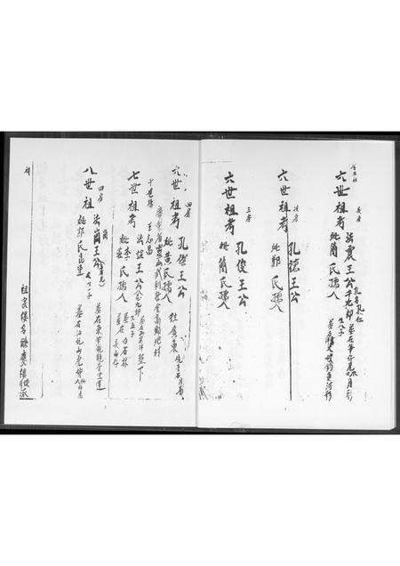 福建王氏族谱-种德堂 王圣本户永兴号族谱.pdf电子版插图4