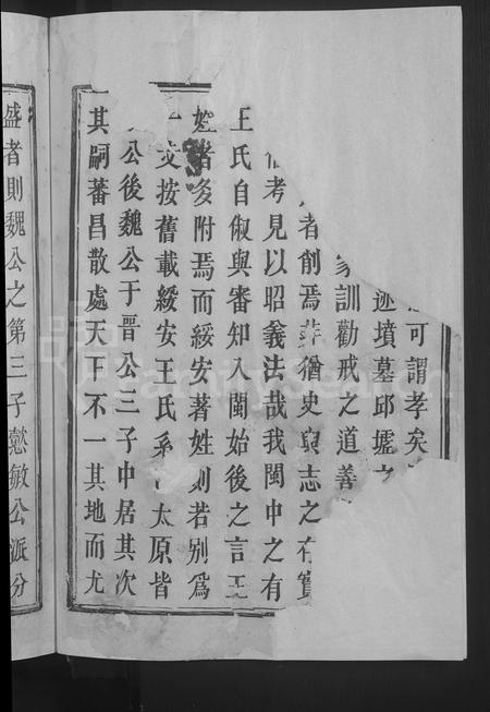 福建王氏族谱-绥安王氏宗谱 [不分卷].pdf电子版插图4