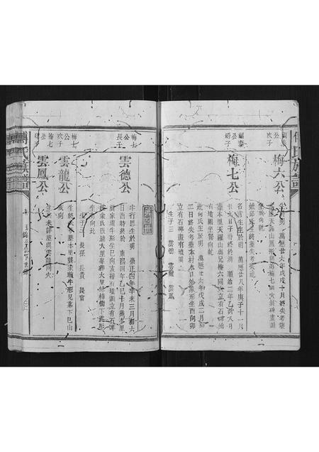 福建傅氏族谱-傅氏族谱[2卷].pdf电子版插图4