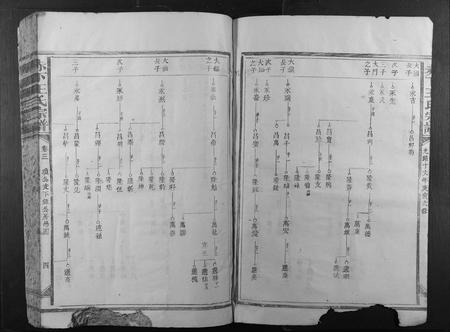 福建王氏族谱-赤下王氏宗谱.pdf电子版插图4