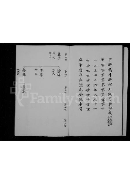 福建王氏族谱-太原郡王氏支谱.pdf电子版插图4