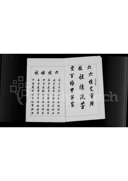 福建翁氏族谱-[翁氏]家族简谱.pdf电子版插图4