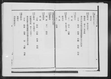 福建张氏族谱-塘边张氏族谱.pdf电子版插图4